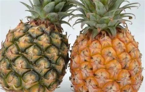 菠萝和凤梨有什么区别啊