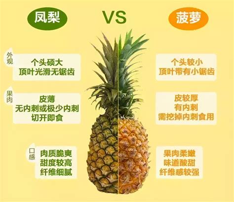菠萝和凤梨的价格差距