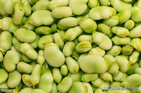 蚕豆的功效与作用减肥能吃吗