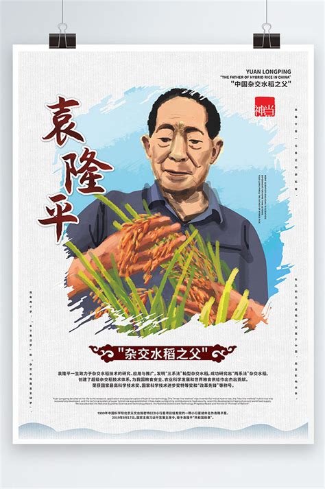 袁隆平及水稻海报