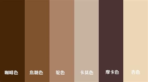 褐色是什么色