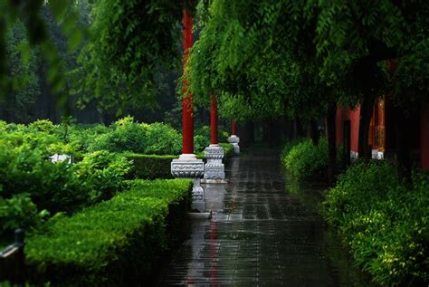 襄阳雨景图片
