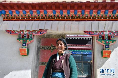 西藏互动网站建设