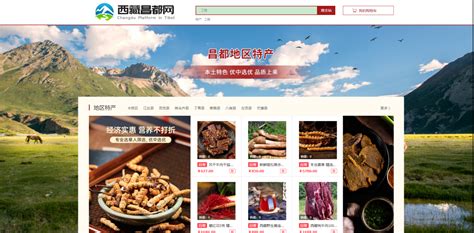 西藏企业网站搭建