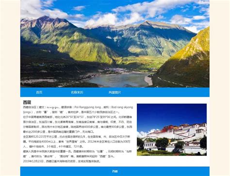 西藏开发网页哪家专业