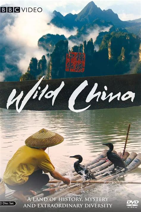 记录中国的纪录片