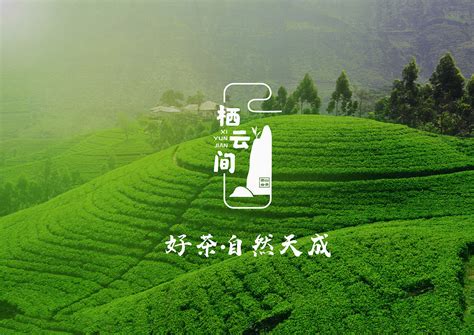 贵州驰名商标茶叶