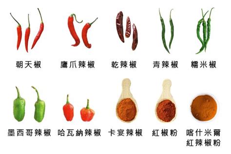 辣椒几月种最合适