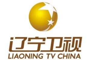 辽宁卫视网络电视直播平台