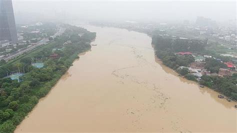 近期湘江河涨洪水视频