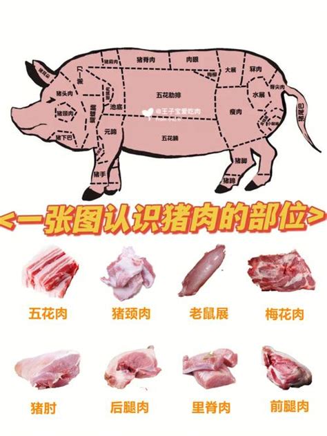 进口猪肉哪个国家最好