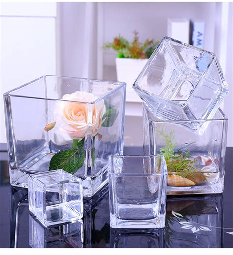 透明玻璃花盆适合栽啥