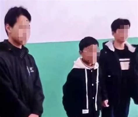 邯郸学生被害案刑法解释
