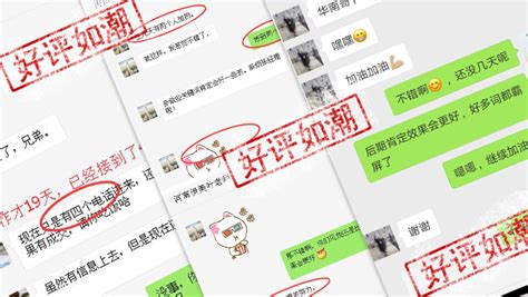 郑州优化网站收费多少钱