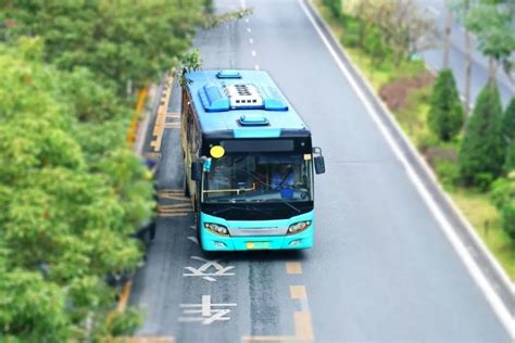 郑州到柘城的大巴车行驶路线