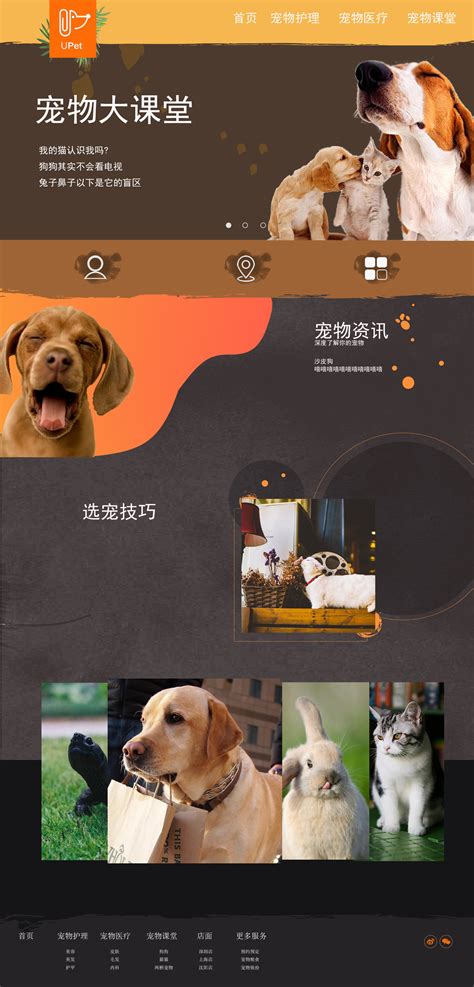 郑州宠物网站设计模板