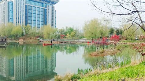 郑州龙子湖大学城是干嘛的