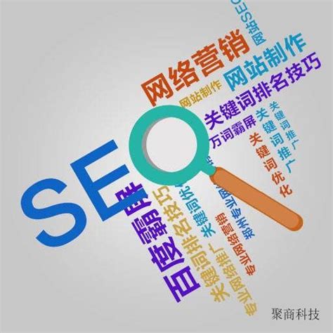 郑州seo网络营销推广软件