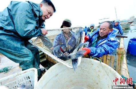 鄱阳县捡鱼