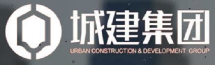 重庆南岸城市建设发展集团有限公司