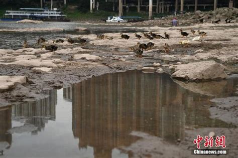 重庆多条河流干枯