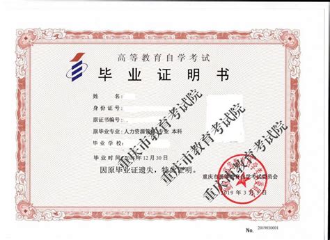 重庆市毕业的证书