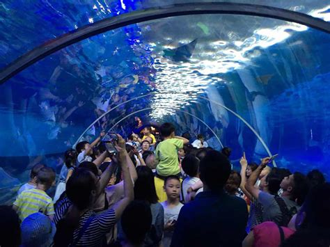 重庆海洋馆哪个最好玩
