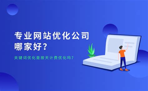 重庆网站优化按天计费团队