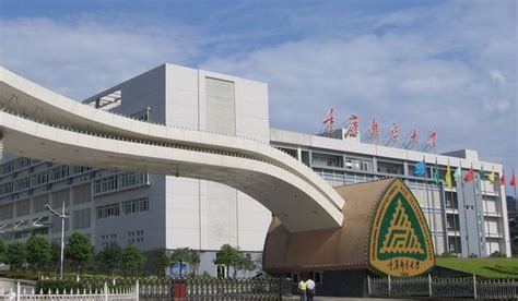 重庆邮电大学综合实力排名