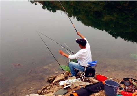 钓鱼方法与技巧