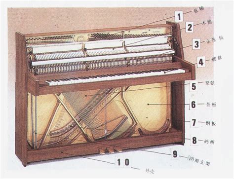钢琴结构图以及零部件各名称