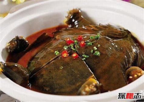 铁板甲鱼是哪里的菜