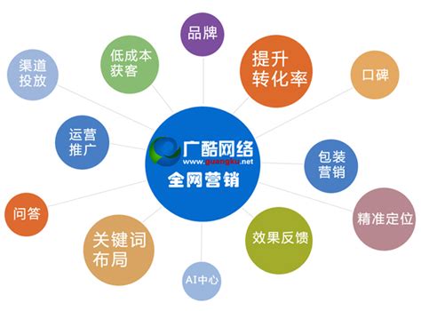 阳江全网整合营销加盟