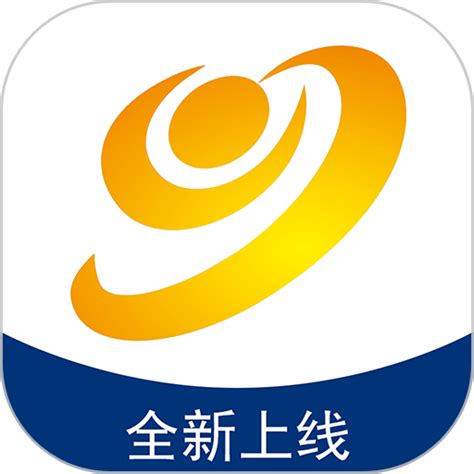 阳江软件开发公司