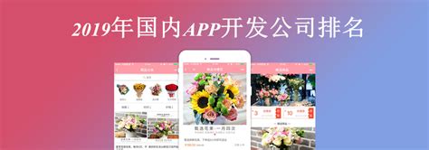 陇南商城app开发公司排名