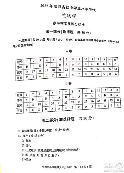 陕西省学业水平考试答题卡在哪看