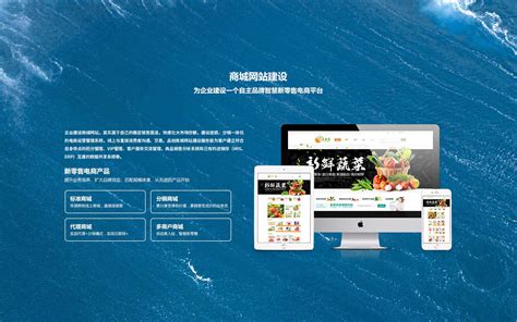 陕西网站建设的方案模板