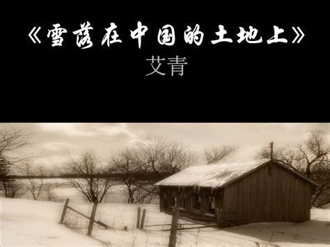 雪落在中国的土地上阅读感悟20字