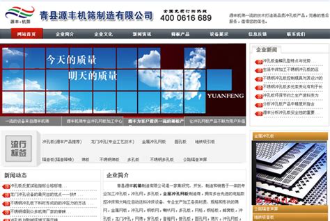 青县网页设计公司