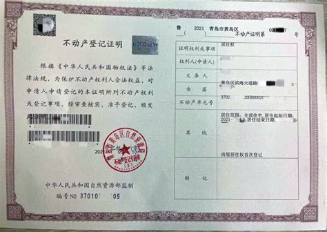 青岛登记证书照片