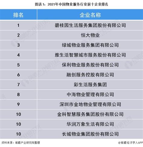 青岛seo服务公司排名前十