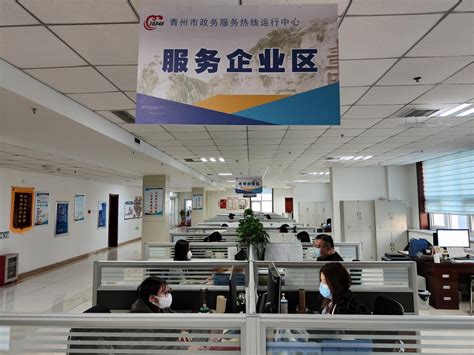 青州网络推广服务热线