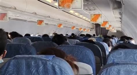 飞机高空颠簸引乘客尖叫原视频