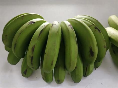 香蕉可以天天长期吃吗