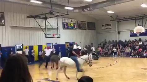 骑马打篮球