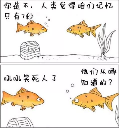 鱼的记忆搞笑段子