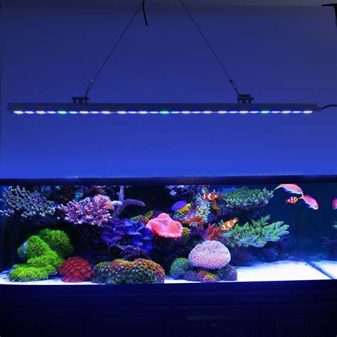 鱼缸灯带的颜色