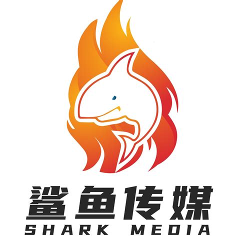 鲨鱼文化传媒有限责任公司
