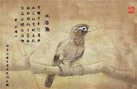 鸟在枝头古诗词