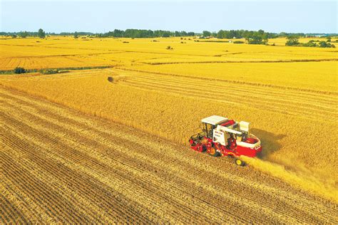 麦收季节惠民政策措施